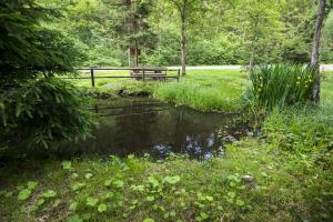 Naravni park Bistra